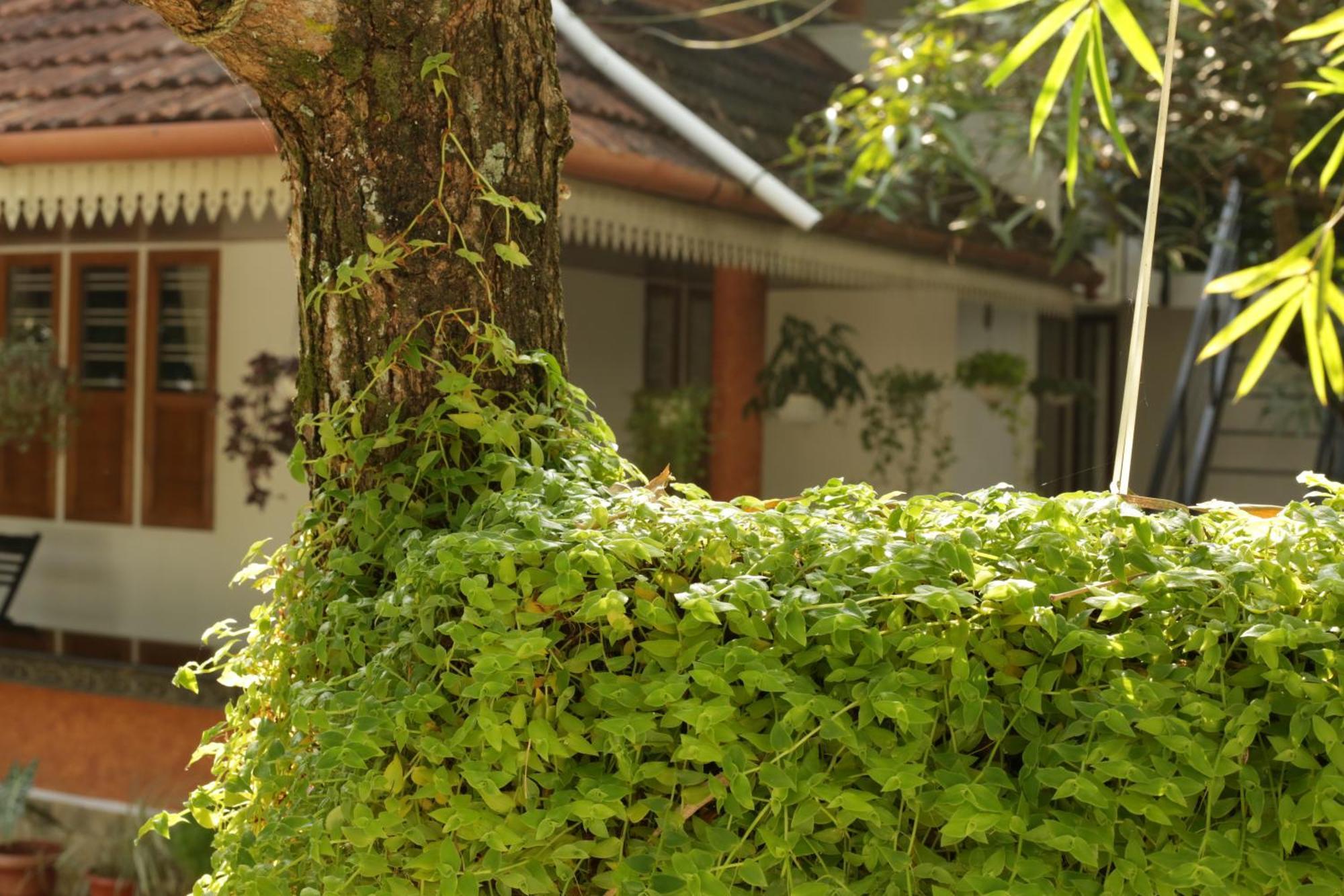 Mi Casa Tu Casa Apartment Kochi Bagian luar foto